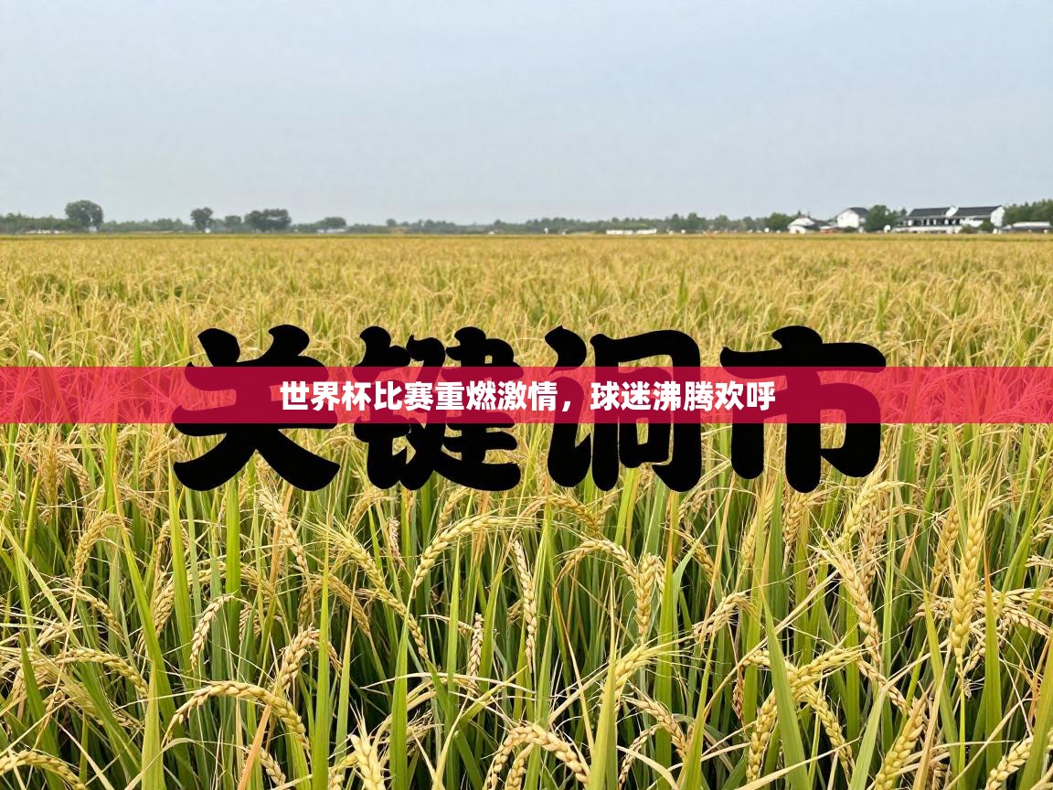 世界杯比赛重燃激情，球迷沸腾欢呼  第2张