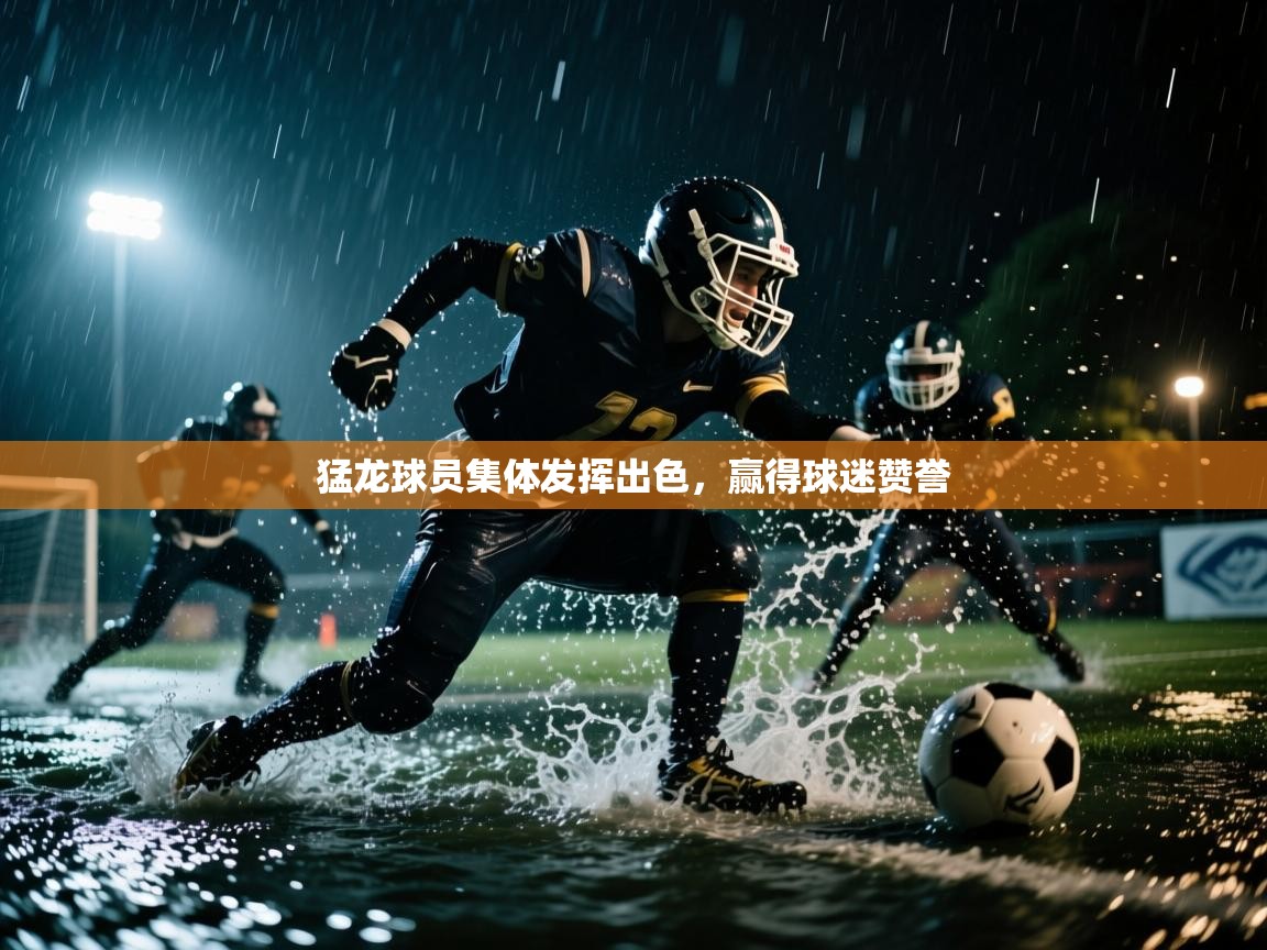 猛龙球员集体发挥出色，赢得球迷赞誉