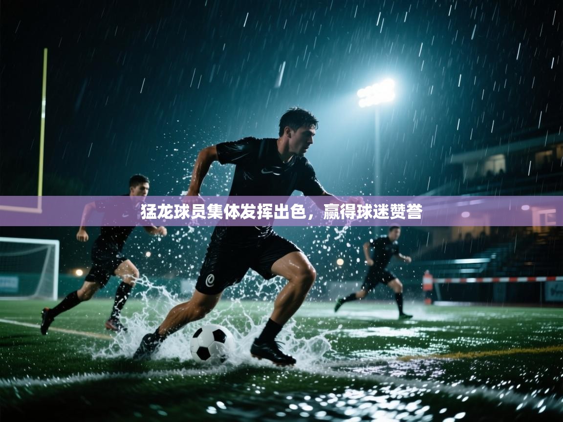 猛龙球员集体发挥出色，赢得球迷赞誉  第2张