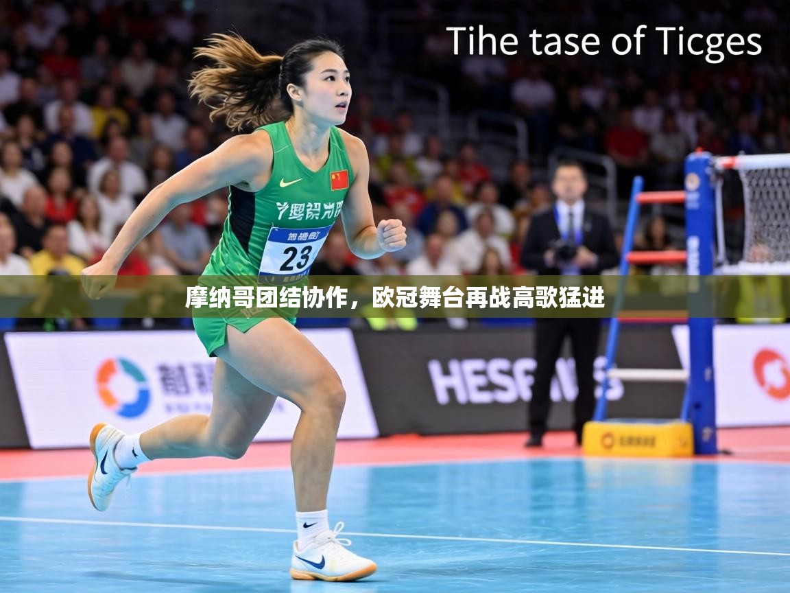 摩纳哥团结协作,欧冠舞台再战高歌猛进 第2张